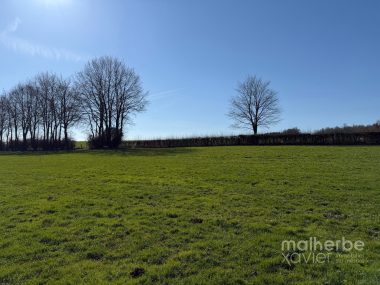 Walk 33.689 m² – Walk (Waimes)