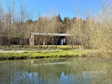 Coin du bois 34 – Sourbrodt (Waimes)